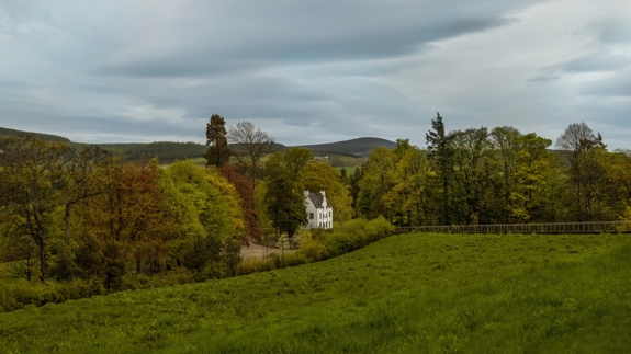 the macallan academy
