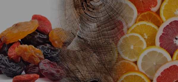 the macallan whisky tasting notes visual