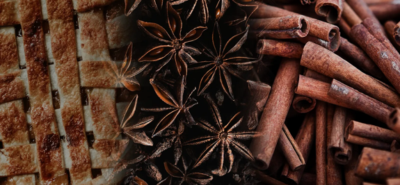 The Macallan Whisky Tasting Notes Visual