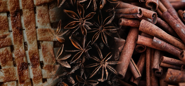 The Macallan Whisky Tasting Notes Visual