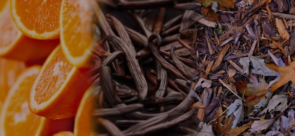 the macallan whisky tasting notes visual