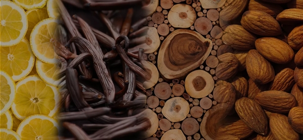 the macallan whisky tasting notes visual