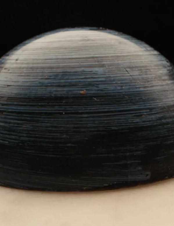 The Macallan Fine Cacao Chocolate Dome
