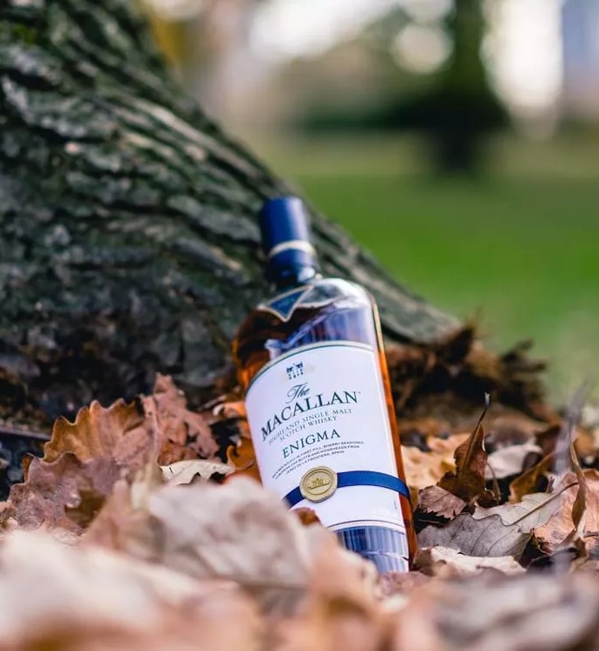 The Macallan Enigma in Leaves Outside