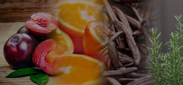 the macallan whisky tasting notes visual