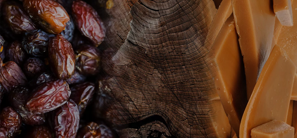 the macallan whisky tasting notes visuals