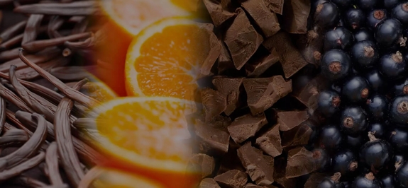 the macallan whisky tasting notes visual