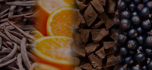 the macallan whisky tasting notes visual