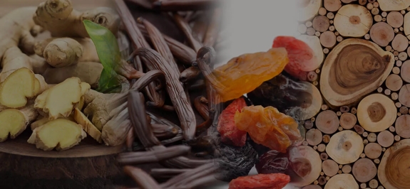 the macallan whisky tasting notes visual