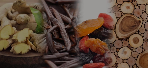 the macallan whisky tasting notes visual