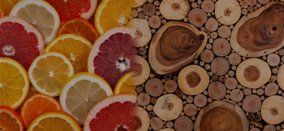 the macallan whisky tasting notes visual
