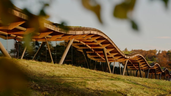 The Six Pillars | The Macallan®