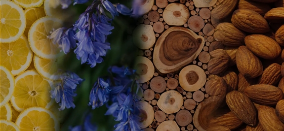 The Macallan Tasting Notes The Harmony Collection Green  Meadow Finish