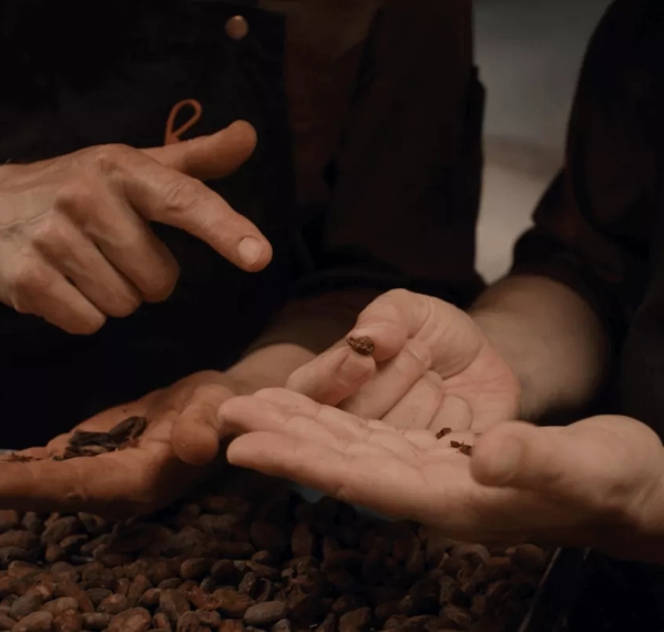 People placing cacao beans in hands