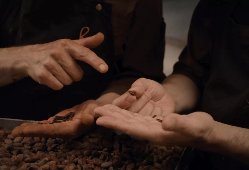 People placing cacao beans in hands