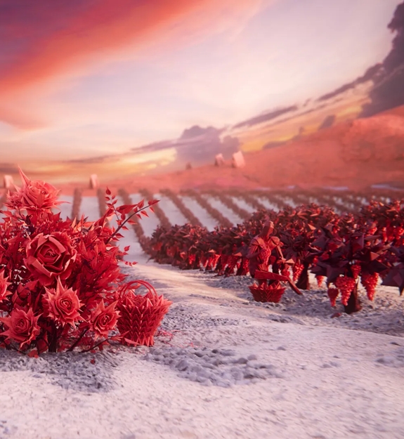 the macallan TIME : SPACE Collection animated visual