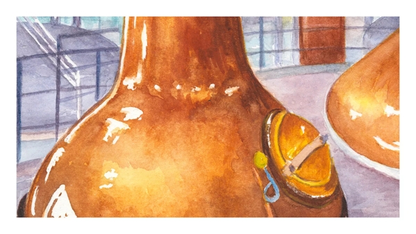 the macallan home collection whisky still illustration