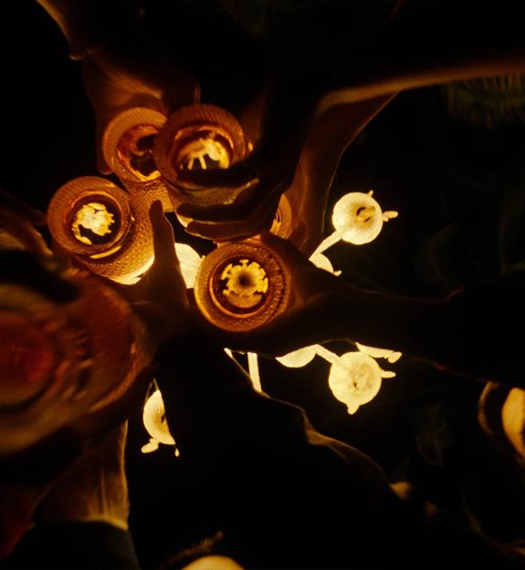 The Macallan A Night On Earth in Jerez The Macallan®