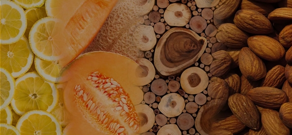 the macallan whisky tasting notes visual