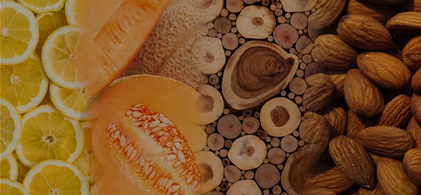 the macallan whisky tasting notes visual
