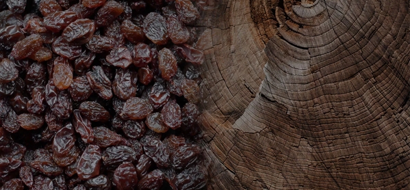 the macallan whisky tasting notes visual