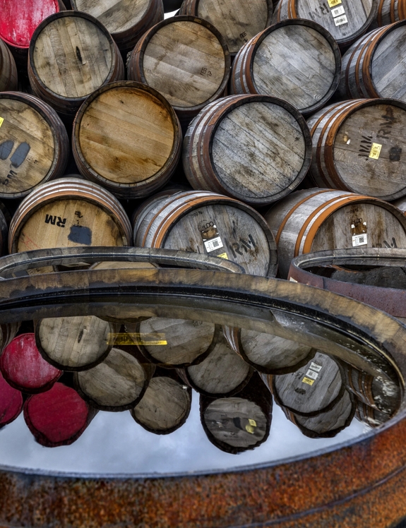 the macallan whisky