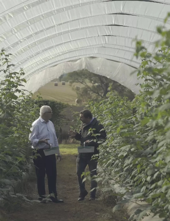 The Macallan Distil Your World Scotland Jordi Picking Ingredients