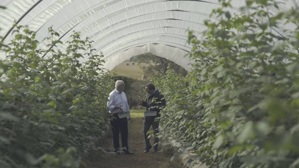 The Macallan Distil Your World Scotland Jordi Picking Ingredients