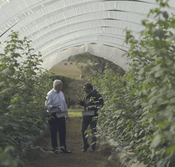 The Macallan Distil Your World Scotland Jordi Picking Ingredients