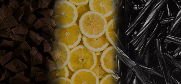 the macallan whisky tasting notes visual
