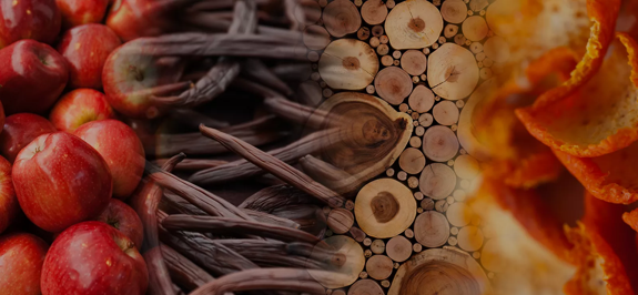 the macallan whisky tasting notes images