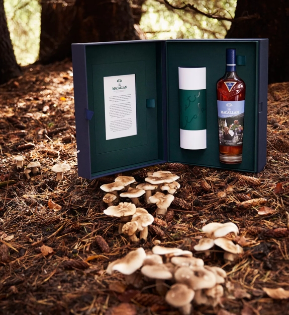 The Macallan Anecdotes of Ages: An Estate, A Community and a Distillery Mood Shot of Box in Forest 