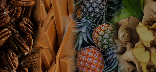the macallan whisky tasting notes visual