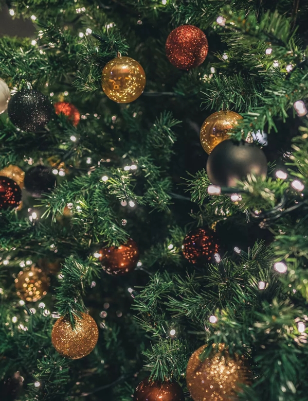 christmas tree close up
