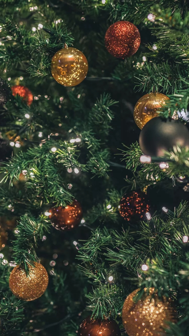 christmas tree close up