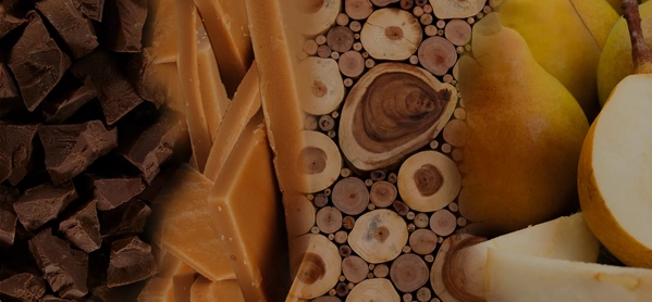 the macallan whisky tasting notes visual