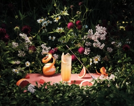 The Macallan Serves Autumn Winter with Grapefruit