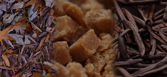 The Macallan Tasting Notes Home Collection The Distillery Palate 