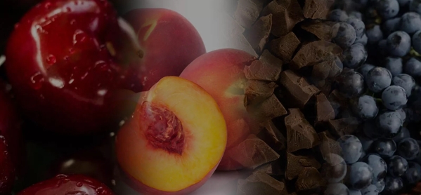 the macallan whisky tasting notes visual