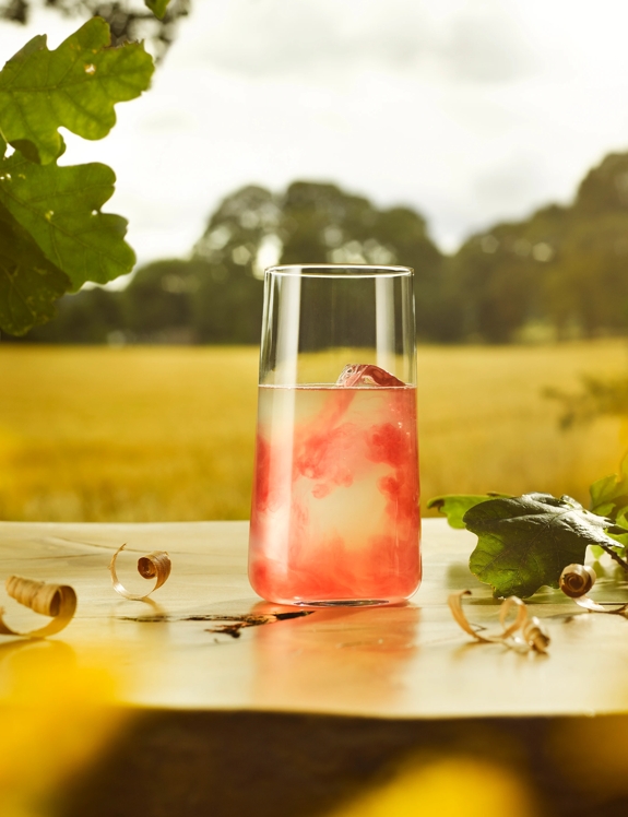 the macallan harmony collection whisky serves