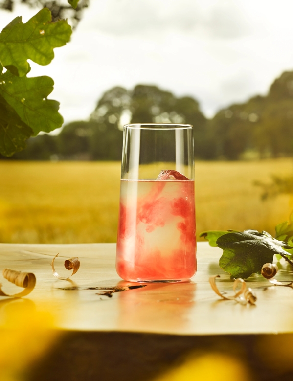 the macallan harmony collection whisky serves