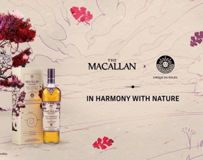 the macallan harmony collection IV whisky