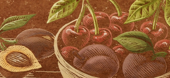 tales of the macallan volume 2 tasting notes visual cherries