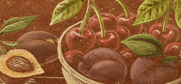 tales of the macallan volume 2 tasting notes visual cherries