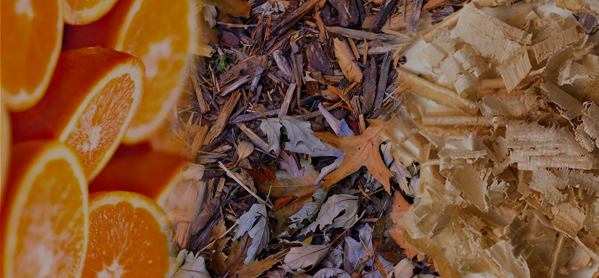 the macallan whisky tasting notes visual