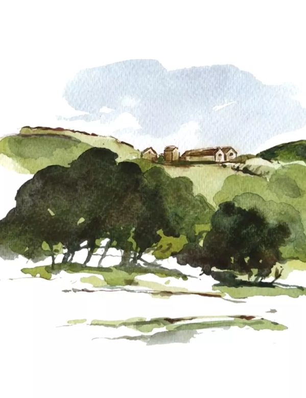 The Macallan Folio 1 David Holmes Artwork of Estate