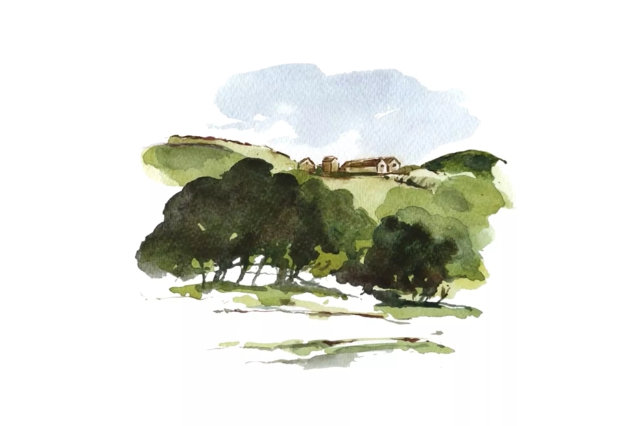 The Macallan Folio 1 David Holmes Artwork of Estate