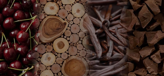the macallan whisky tasting notes visual