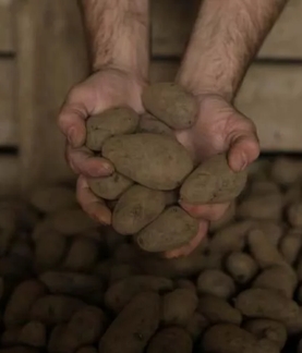 The Macallan Distil Your World Scotland Potatoes