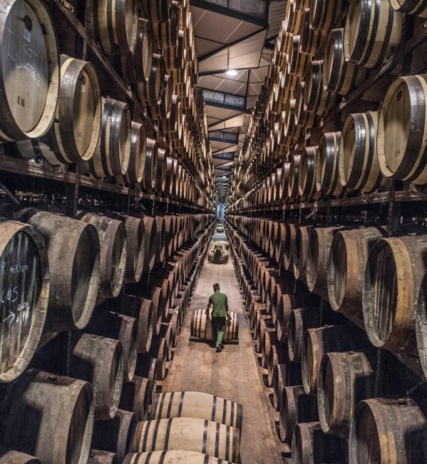 the macallan whisky casks warehouse